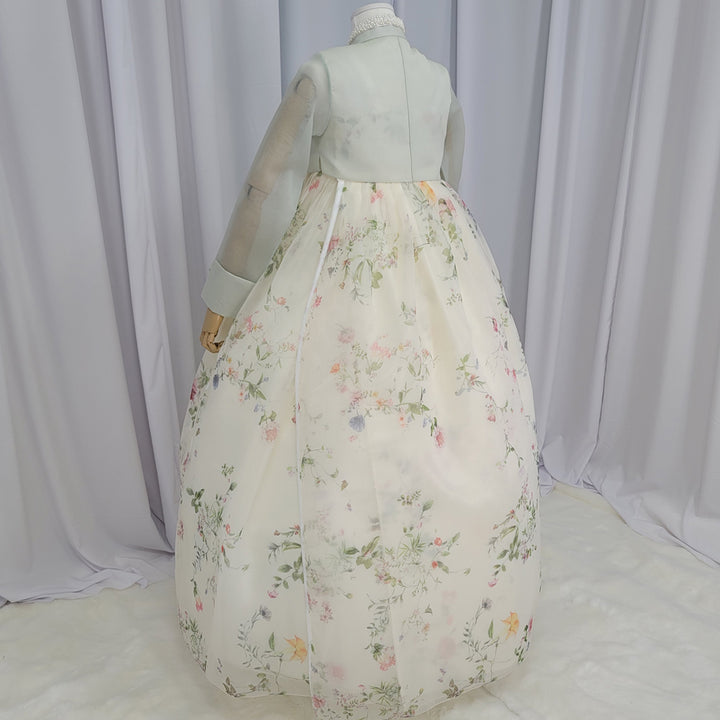 Woman Hanbok Dress Korea Traditional clothes Set Wedding Ceremony Birthday Custom-Made Mint See-through OSW902