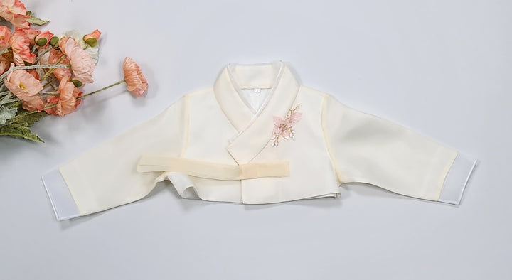 Hanbok Girl Baby Korea Traditional Clothing Set First Birthday Celebration Party Celebration 1–8 years Pastel Beige Mint OSG1035