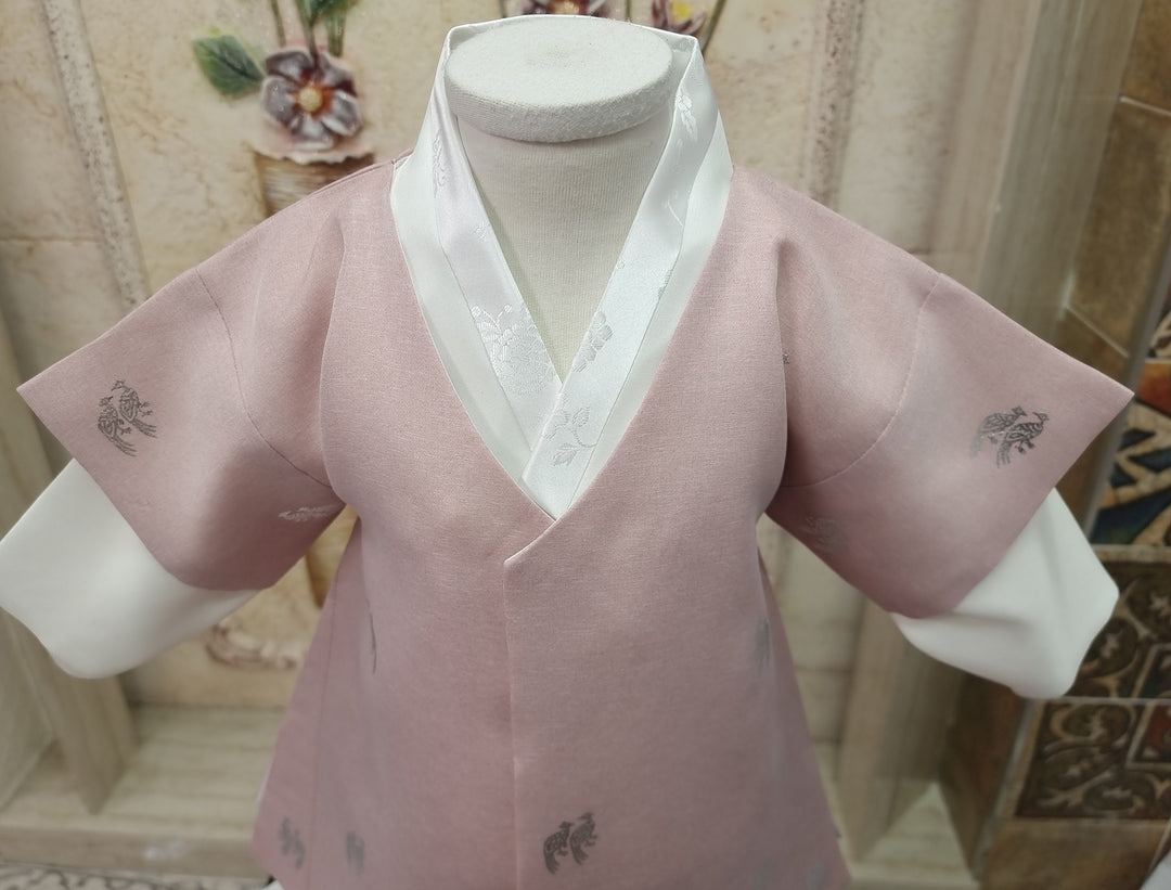 Korean Traditional Boy Baby Hanbok Dol Baikil Party Celebration 100th-10 Ages Pink Bird Silver Print HGB114