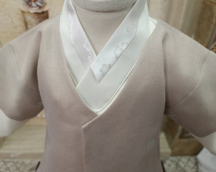 Korean Traditional Boy Baby Hanbok Dol Baikil Party Celebration 100th-10 Ages Beige Bird Silver Print HGB113