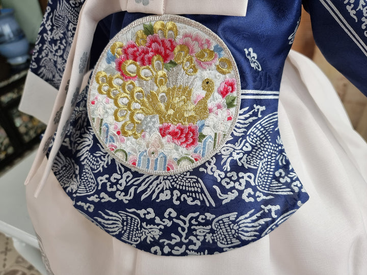 Hanbok Dress Girl Baby Korea Traditional Clothing Set First Birthday Celebration Party Celebration 1–8 Years Navy Fancy Silver Print OS208