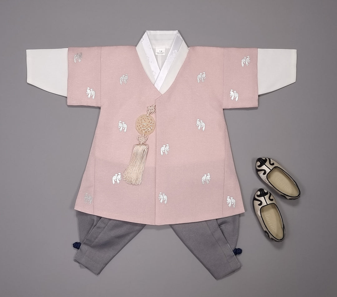 Korean Traditional Boy Baby Hanbok Dol Baikil Party Celebration 100th-10 Ages Pink Bird Silver Print HGB114